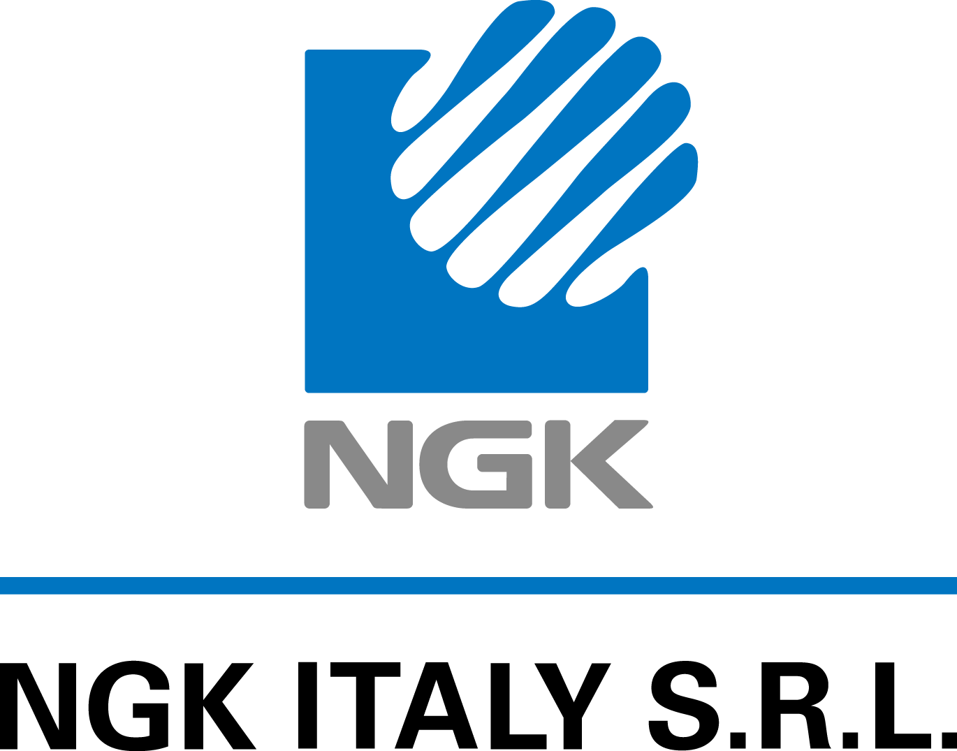 Logo NGK ITALY SRL