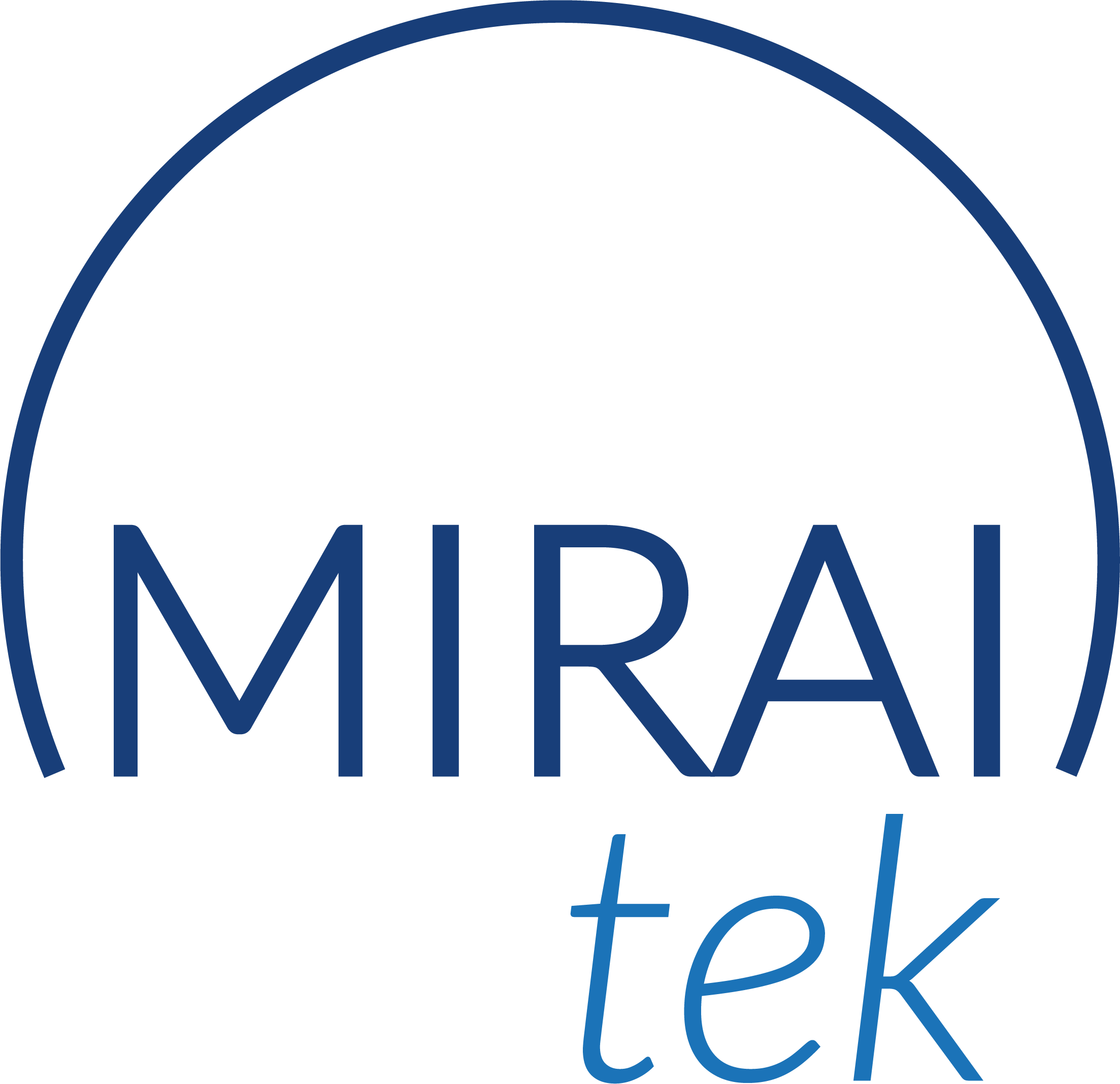 Logo MIRAITEK SRL