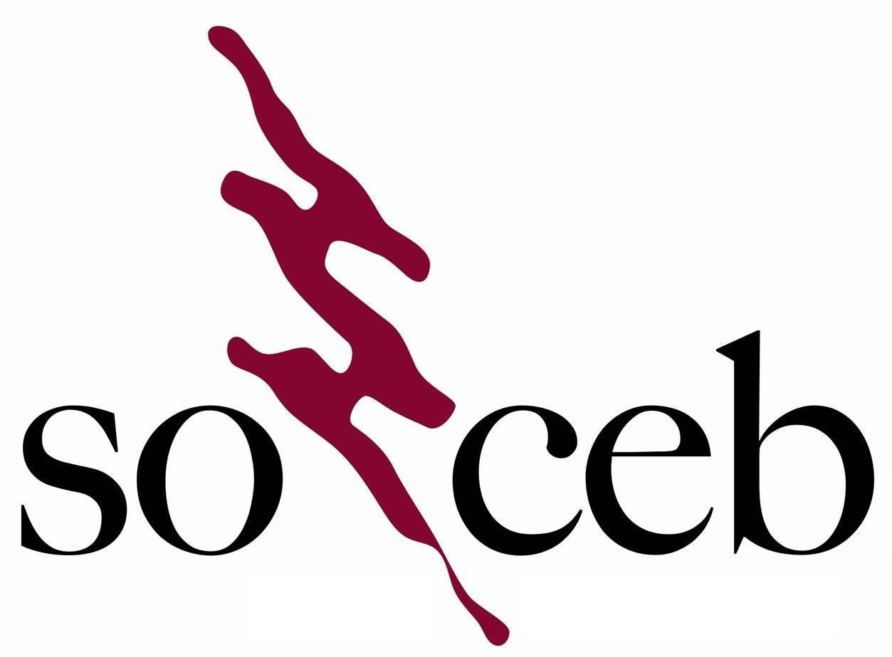 Logo SOCEB SRL
